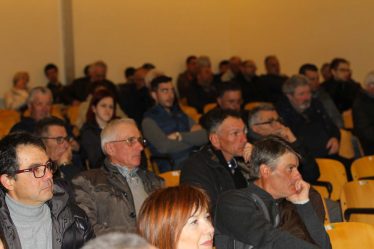 Pubblico