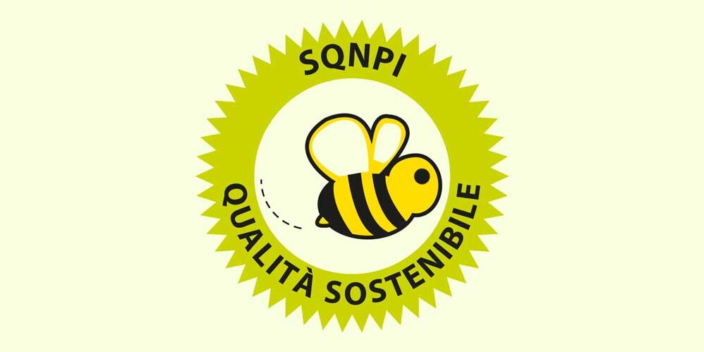 Osservatorio SQNPI